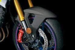 Suzuki Carbon Voorspatbord GSX-S (950 / 1000 / 1000GT)